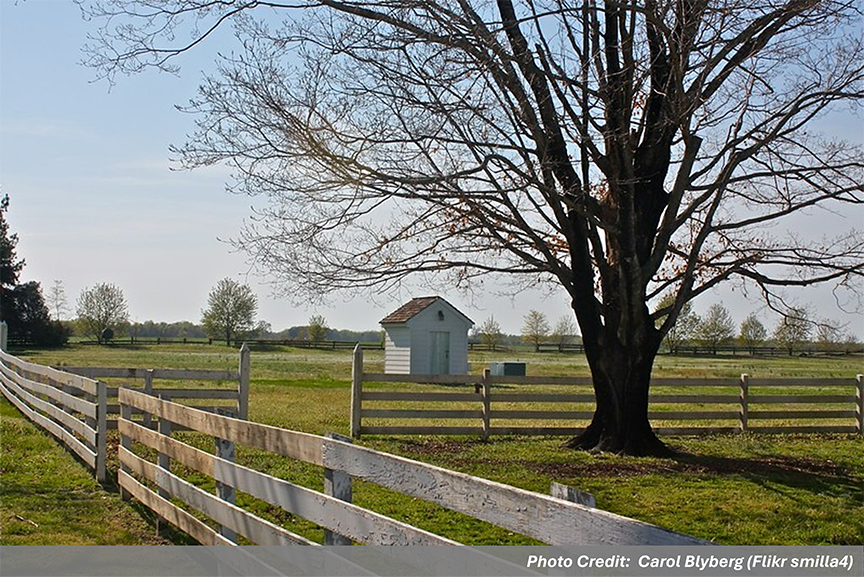 11a_Surry County Landscape_CBlyberg_SM